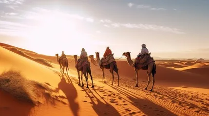6 days desert trip from Agadir to Marrakech